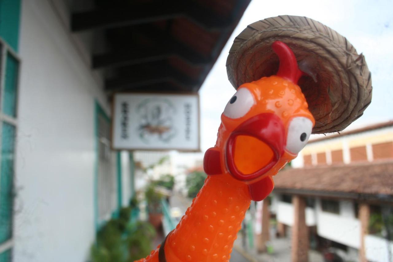 Casa Kraken Hostel Puerto Vallarta Exterior photo